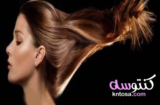 كيف ينمو الشعر وأفضل الأطعمة لينمو صحيًا | حقائق عن نمو الشعر لم تعرفها من قبل kntosa.com_26_21_161