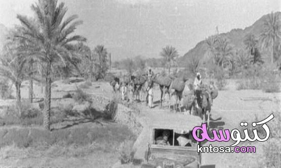 سلطنة عمان قبل النهضة kntosa.com_26_21_163