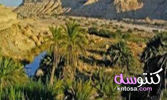 سلطنة عمان قبل النهضة kntosa.com_26_21_163