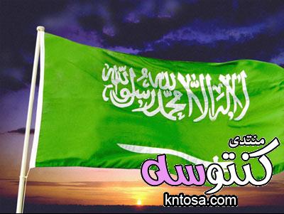 صور العلم السعودي 2018 بجودة عالية , صور علم السعودية , خلفيات ورمزيات السعودية , ‏العلم الملكي kntosa.com_27_18_154