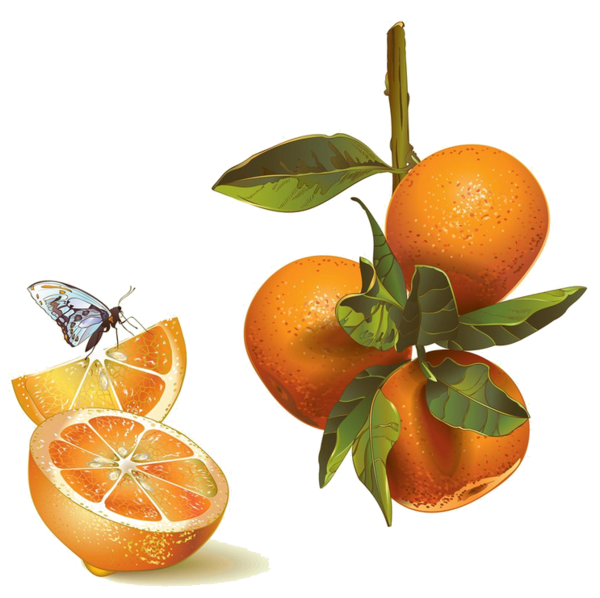 سكرابز فواكهة حصريا لكنتوسة 2018, سكرابز فواكهة بدون تحميل,سكرابز فواكهة بخلفيات شفافة kntosa.com_27_18_154