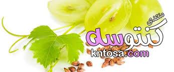 فوائد بذور العنب للتخسيس,ما فوائد بذور العنب للتخسيس,العنب للتخسيس,فوائد العنب لتخفيف الوزن kntosa.com_27_19_154