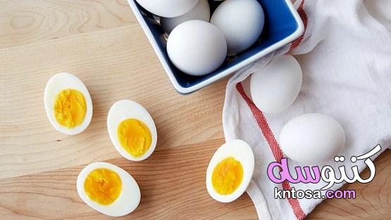 طرق تخزين البيض لأطول فترة ممكنة kntosa.com_27_19_156