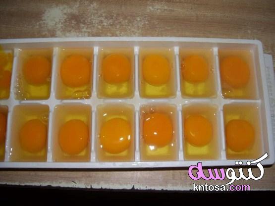 طرق تخزين البيض لأطول فترة ممكنة kntosa.com_27_19_156