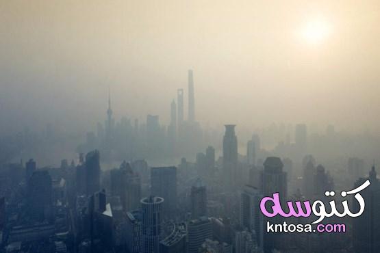 ما علاقة التلوث بتصلب الشرايين؟ kntosa.com_27_19_157