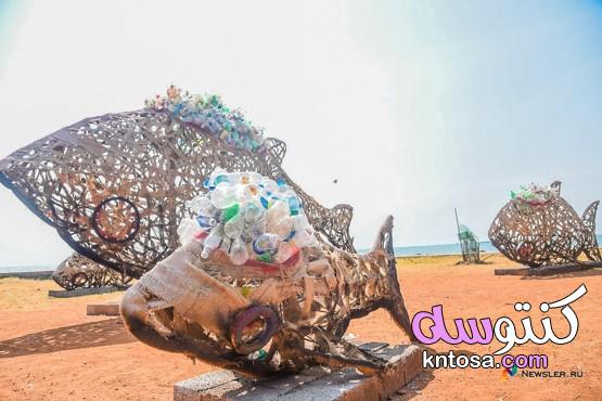 بالصور حاويات لجمع الزجاجات البلاستيكية في شكل سمكة لشاطئ نظيفاً kntosa.com_27_19_157