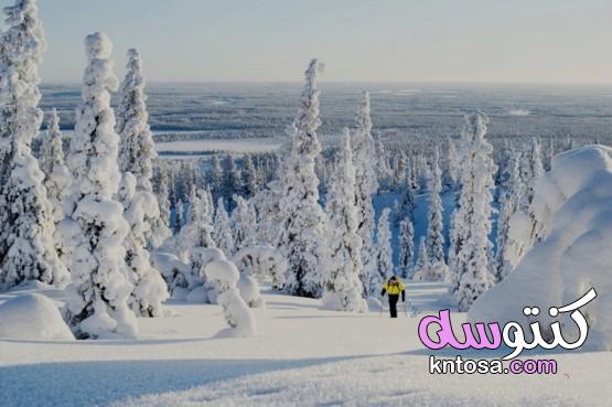 فنلندا سياحة،كيف تقع في حب فنلندا؟ kntosa.com_27_20_158