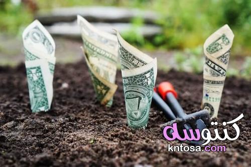 8 طرق تساعدك علي زيادة الدخل الشهري kntosa.com_27_21_162