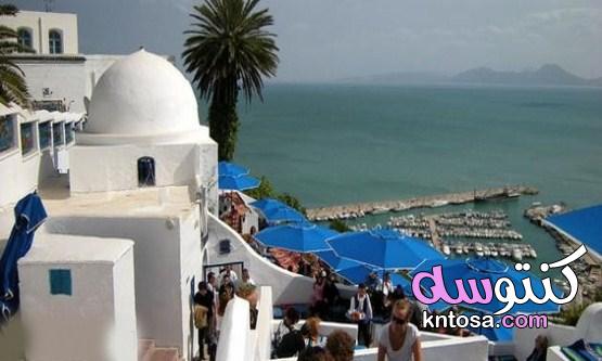بماذا تتميز تونس واهم المعلومات عنها بالتفصيل kntosa.com_28_21_163