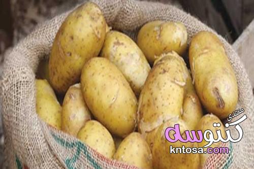 طر ق حفظ البطاطس في الفريزر kntosa.com_29_19_155