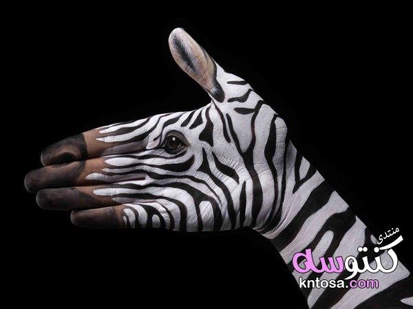 فن تجسيد الحيوانات على اليدين,بالصور إبداع فن رسم الحيوانات على اليد,فن الرسم على اليد صور رائعة kntosa.com_29_19_155