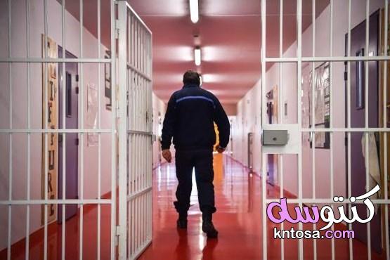 سجون وردية حيلة سويسرية لتقليل نسبة العداء عند المجرمين kntosa.com_29_19_157