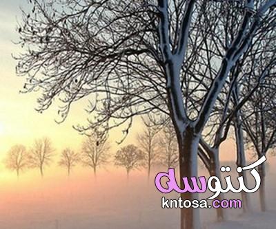 صور شتاء،الشتاء+والرومانسية، خلفيات فصل الشتاء،خلفيات عن الشتاء والمطر kntosa.com_29_19_157