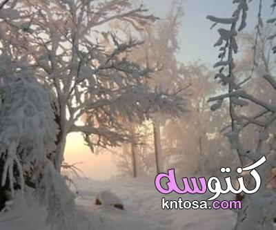 صور شتاء،الشتاء+والرومانسية، خلفيات فصل الشتاء،خلفيات عن الشتاء والمطر kntosa.com_29_19_157