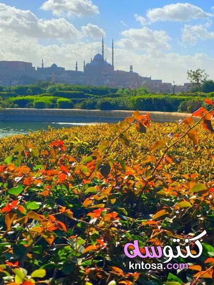 سحر حديقة الأزهر .. أضخم حدائق القاهرة الكبرى،بالصور داخل حديقة الازهر جديدة kntosa.com_29_19_157