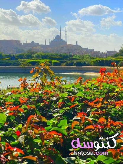 سحر حديقة الأزهر .. أضخم حدائق القاهرة الكبرى،بالصور داخل حديقة الازهر جديدة kntosa.com_29_19_157