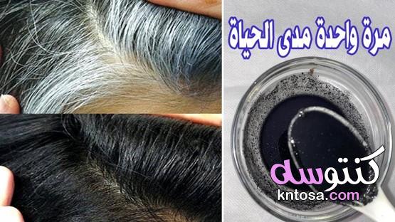 خلطة سعودية معجزة لعلاج شيب الشعر والقضاء على الشيب نهائيا بمكون واحد فقط مجربة kntosa.com_29_21_161