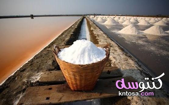 الملح الفرعوني وسر تقنية المصريين القدماء في التحنيط 2020 kntosa.com_30_19_157