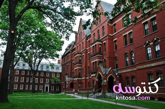 افضل جامعة في العالم kntosa.com_30_21_162