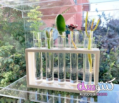 اصطياد الأشعة مع أرفف نباتات النوافذ kntosa.com_30_21_162
