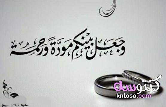 ما هي أحكام النكاح واركانه في الاسلام kntosa.com_30_21_163