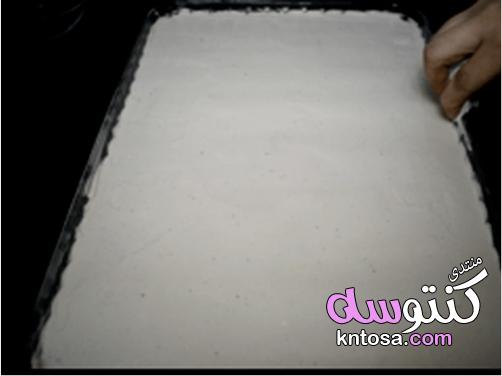الكيكة التركية الجديدة,الكيكة التركية التي اثارت ضجة في العالم,طريقة عمل الكيكة التركية الرهيبة kntosa.com_31_19_155