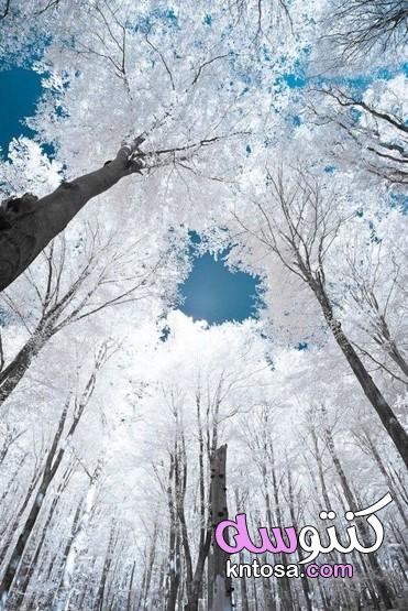 اجمل مناظر الثلوج في العالم ، اشكال الثلج،صور عن الثلج 2020,صور ثلوج ,خلفيات ثلج 2020 kntosa.com_31_19_157