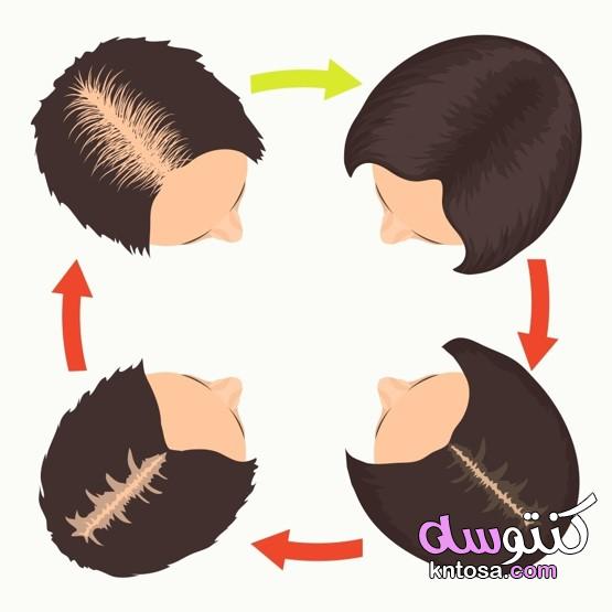 أنبات الشعر في أسبوع وملأ الفراغات بطرق طبيعية kntosa.com_31_21_161