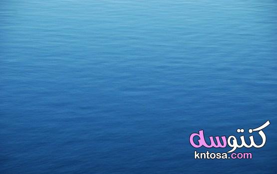 اين يوجد بحر الهدوء| أهم المعلومات حول مركبة أبوللو kntosa.com_31_21_162