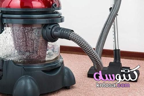 الحفاظ على منزلك نظيفًا عن طريق اقتناء حيوانات أليفة kntosa.com_31_22_164